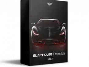 Ultrasonic Slap House Essentials. Vol.1