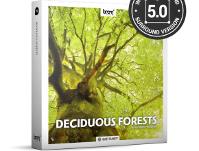 Deciduous Forests surr QP Nature Ambience Sounds e1633275029655
