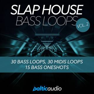 BalticAudio SlapHouseBassLoopsVol.2