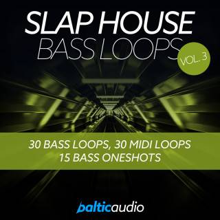 BalticAudio SlapHouseBassLoopsVol3