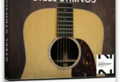 Orange Tree Samples – Evolution Steel Strings v1.3.5