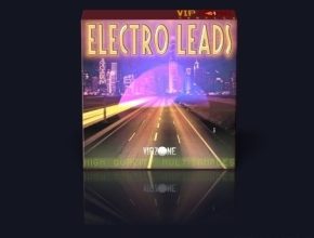 VipZone ElectroLeads