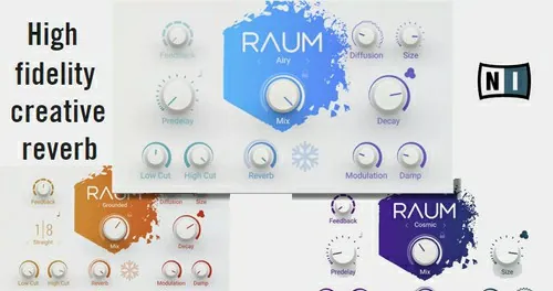 NativeInstruments Raum