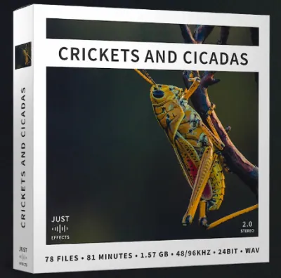 JustSoundEffects CricketsandCicadas - audiostorrent.com