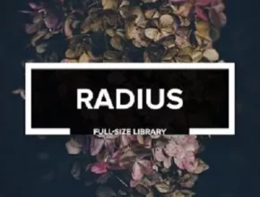 Audiotent Radius
