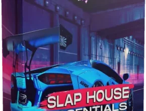Sound Mafia Slap House Essentials Vol.1
