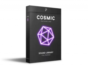 The Producer School Cosmic Slap House Sample Pack
