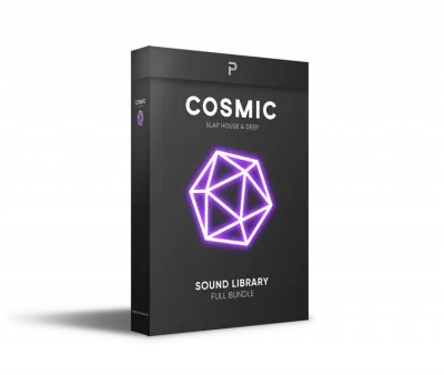 The Producer School Cosmic Slap House Sample Pack - audiostorrent.com