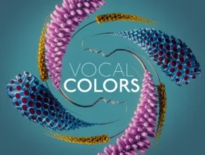 Native Instruments Vocal Colors - audiostorrent.com