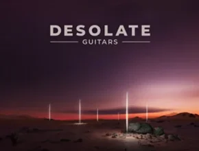 e instruments Desolate Guitars