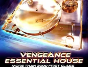 Vengeance Essential House Vol. 4