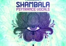 Production Master – Shambhala Psytrance Vocals