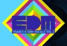 Producer Loops – Trance and EDM Vocals Vol.2