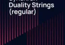 Vienna Symphonic Library – Synchron Duality Strings (Virtuoso/Full)