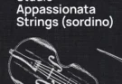 Vienna Symphonic Librarу – Studio Appassionata Strings Sordino
