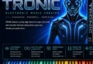 Hollywood Audio Design – TRONIC
