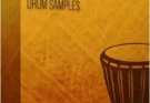 Production Music Live – Afro House – Sounds From The Cape