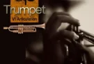 Areito Producciones – Ap Trumpet
