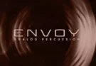 Emergence Audio – Envoy