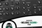Vandalism – Shocking Melodic Techno For Diva