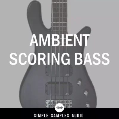 Simple Samples Audio - Ambient Scoring Bass