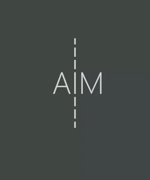 The Last Haven - AIM